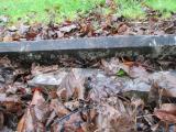image of grave number 373554